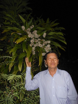 苦等逾30年马来西亚华人种植铁树终开花（图）