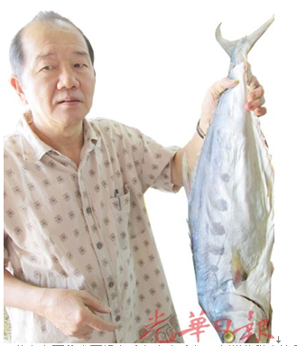 马来西亚咸鱼街腥味减华裔硕士卖咸鱼成回忆