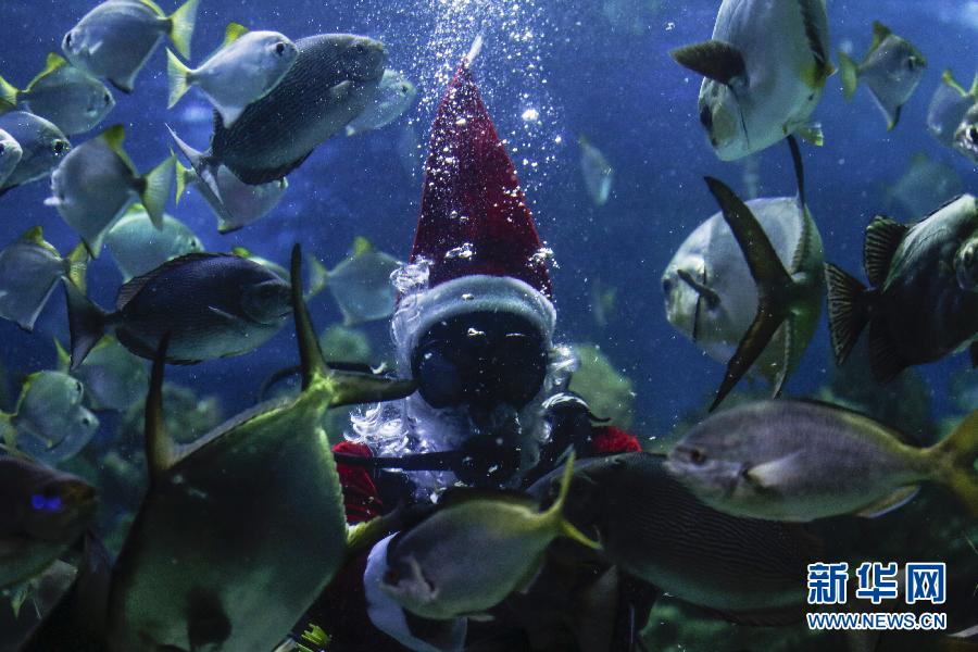 （外代二线）水下“圣诞老人”