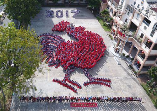 中国侨网 中国侨网