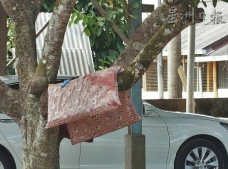 死者睡过的绵被仍有血渍，被挂在屋外的树上。(图：星洲日报)