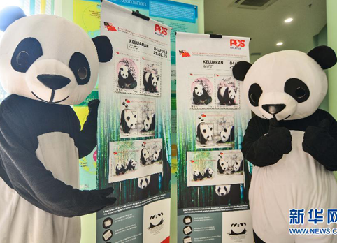 马来西亚环境部推介大熊猫邮票