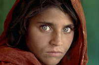 美国《国家地理》125年经典佳作（高清）