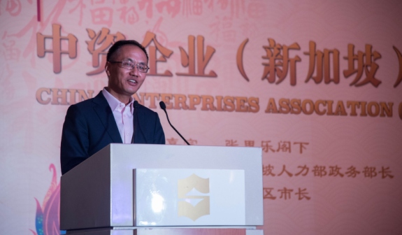 中资企业（新加坡）协会举办2017新春联谊会